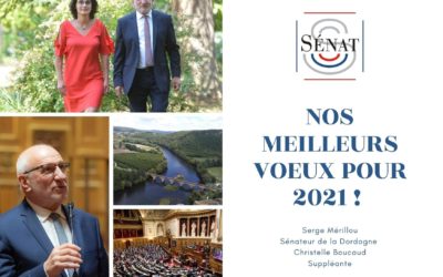 Mes meilleurs voeux pour 2021 !