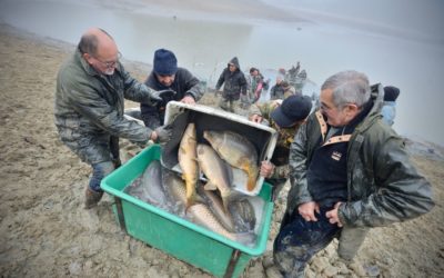 Pêche de sauvegarde de l’étang de Gurson