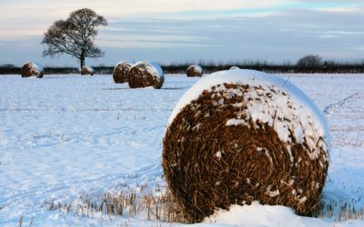 PJL portant réforme des outils de gestion des risques climatiques en agriculture