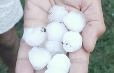 Message de solidarité avec les agriculteurs touchés par les orages de grêles en Dordogne