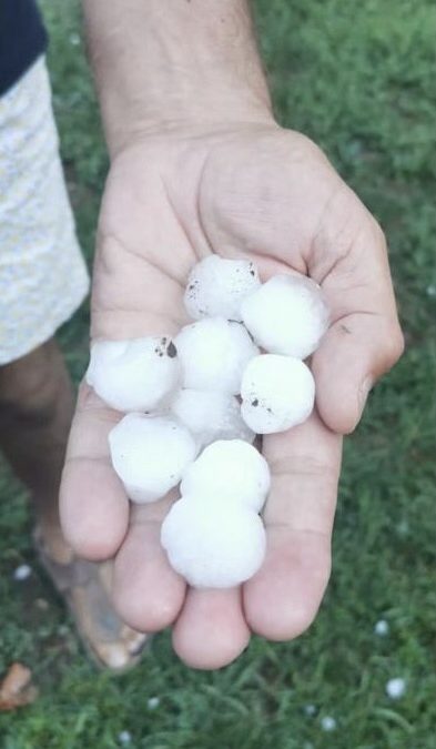 Message de solidarité avec les agriculteurs touchés par les orages de grêles en Dordogne