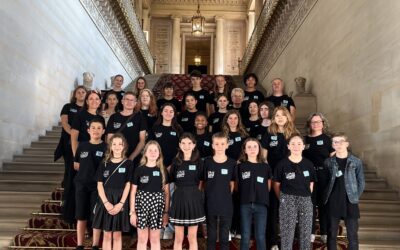 Visite du Sénat de la « classe orchestre » du collège Henri IV