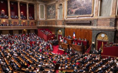 L’IVG dans la Constitution