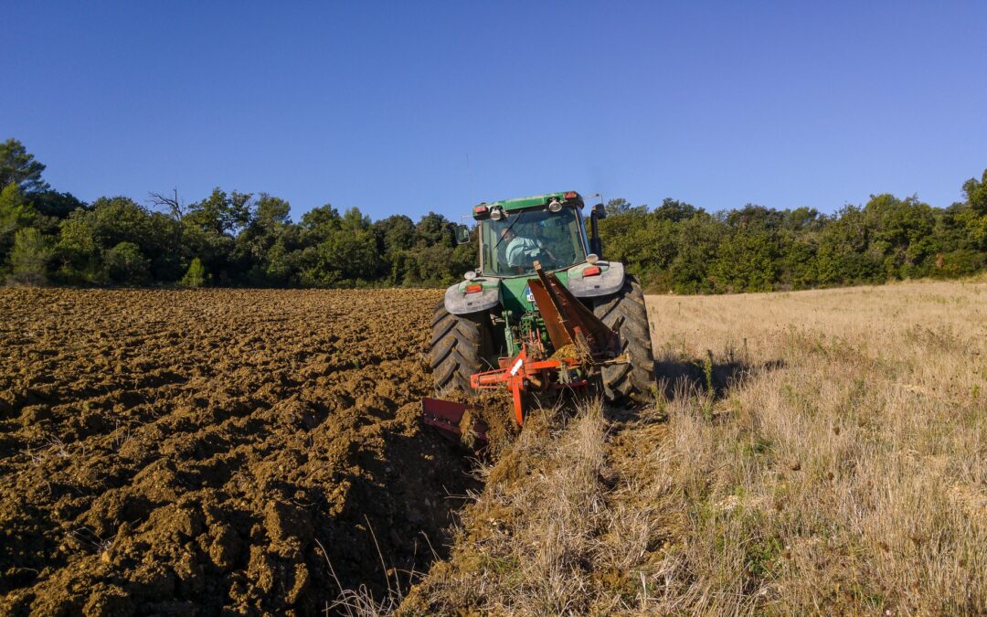 Loi d’orientation agricole