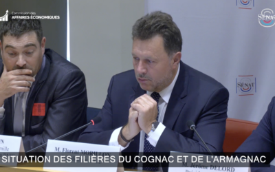 Table ronde sur la situation des filières Cognac et Armagnac à la suite des mesures commerciales chinoises