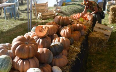 Foire à la citrouille de Saint-Mayme de Peyrerol