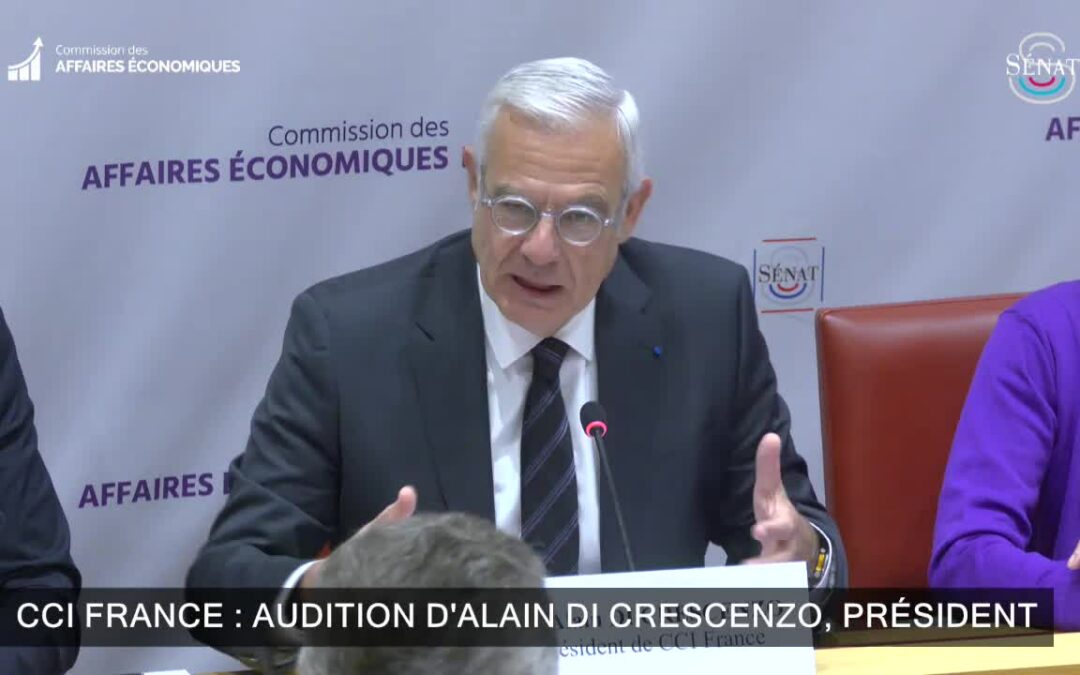 Audition d’Alain Di Crescenzo, président de CCI France