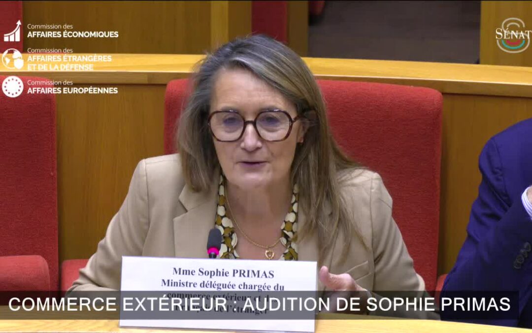 Audition de la ministre du Commerce extérieur, Sophie Primas