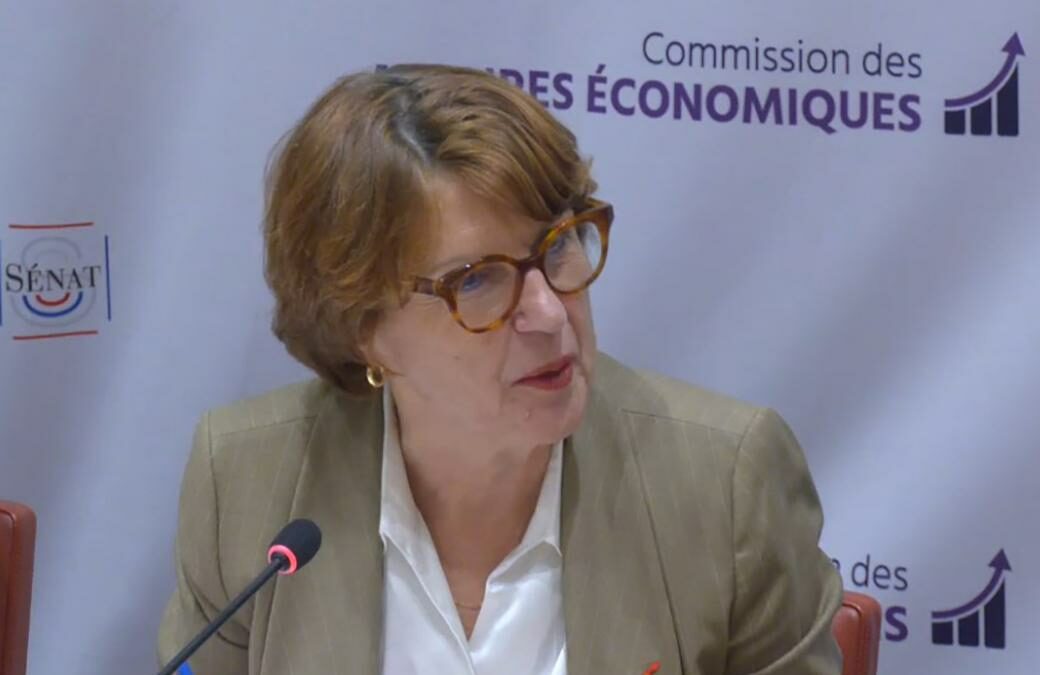 Audition d’Annie Genevard, ministre de l’Agriculture, de la Souveraineté alimentaire et de la Forêt