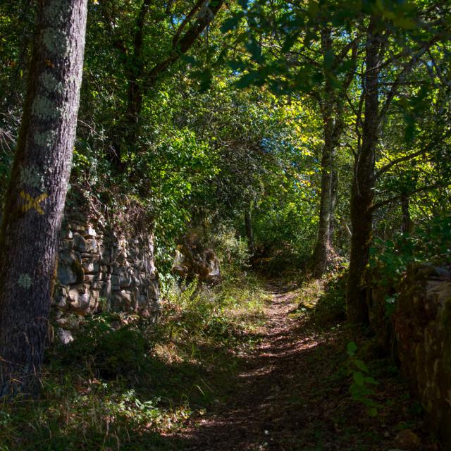 Réunion du groupe d’études Forêt et filière bois